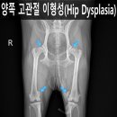 쥬만지동물의료센터 이미지