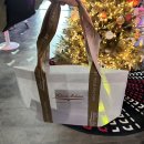 빅토리아 | 2025 서울 카페쇼 후기_빅토리아 아르두이노,커피엘리,코엑스박람회