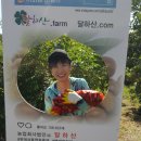 주식회사 기림 네이버블로그