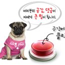 산야초오토캠핑장 이미지