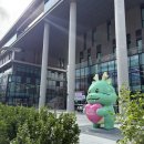 문백면 행정복지센터 다목적실 | 동네 스포츠센터 수업] 보정미르휴먼센터(코오롱...주 2회 요가 &amp; 주 2회 기구 필라테스 4개월 수강 후기