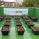 이태원북부경로당 | 도시공간 친환경 화분 텃밭 만들기