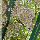 계동초등학교 이미지