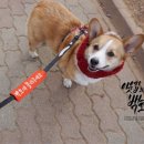 백호농장 이미지