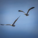 광주스마일행정사사무소 이미지