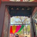 요가(야)A | 2026 불교박람회 후기 / 코엑스 맛집 플랜튜드에서 점심 갈김 / 봉은사 꽃구경