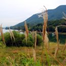 능암온천 이미지