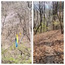 회남면사무소 이미지