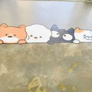 꼬리살랑 이미지