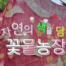 동화3길-6 이미지