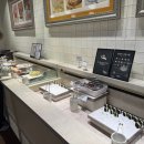 죽이야기 부산덕천점 | 부산 덕천 양식 무한리필 애슐리퀸즈 뉴코아 덕천점 평일저녁 방문후기