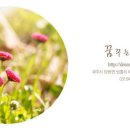 하루니스튜디오 이미지