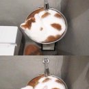 캣푸치노 이미지