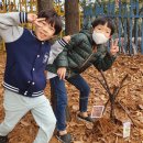 고림초등학교 이미지