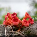 민속마을 이미지