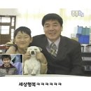 왕십리주먹고기