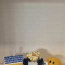 티티엠(ttm) 이미지