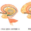 포바즈