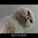 윤메디컬 네이버블로그