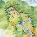 10월 28일(화), '여인천하'를 떠올리며, 태,강릉 숲길 걷기 이미지