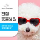 진접동물병원