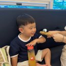 리프패럿일광점 | 부산 앵무새카페 리프패럿 일광점 아기랑 실내 가볼만한곳