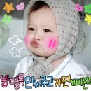 쓩 이미지