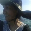 당항 이미지