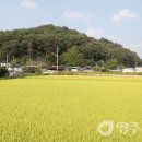 동촌1리 동원교 이미지