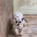 타이어 프로 황지점 이미지