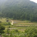 용부원1리 이미지