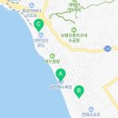 지코바신흑점