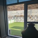 어서오시개냥 애견펜션 | 포천 어서오시개냥 애견펜션 후기(서울근교 애견동반펜션)