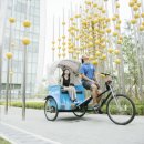 참좋은여행㈜ 이미지