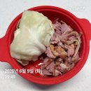 (주)자연바라기 | 정선근 교수 허리디스크 운동 추천｜맥켄지 신전운동·자연복대 걷기로 10km 러닝 성공 후기