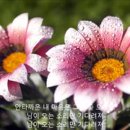 ♡ 임이 오는 소리 ♡ 이미지