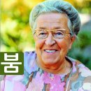 코리