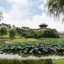 수원-1848 이미지