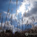 선선10 이미지