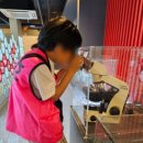 경희대 석사 백호태권도장 이미지