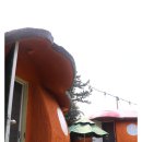 딱정벌레펜션 이미지