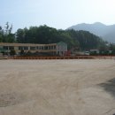 주천초등학교 Daum카페