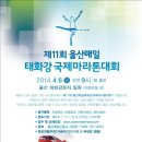 매일D/C