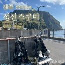 6117 | [성산 스쿠버] 제주 스쿠버다이빙 스킨스쿠버 체험 후기