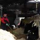 여물소농장 이미지