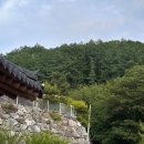 솔내음펜션 | 큐어젯/플러스피부과 7주년 야유회 후기 - 충주 솔내음한옥펜션/ 청주 피부과 전문의/ 청주 피부과 여의사