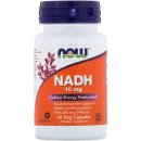 Re: 보조인자 NAD+ 와 NADH 에 대하여