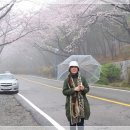 장복산길 이미지