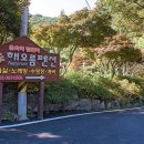 해오름펜션야영장 이미지