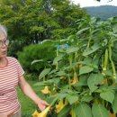 장사(감산2리) 이미지